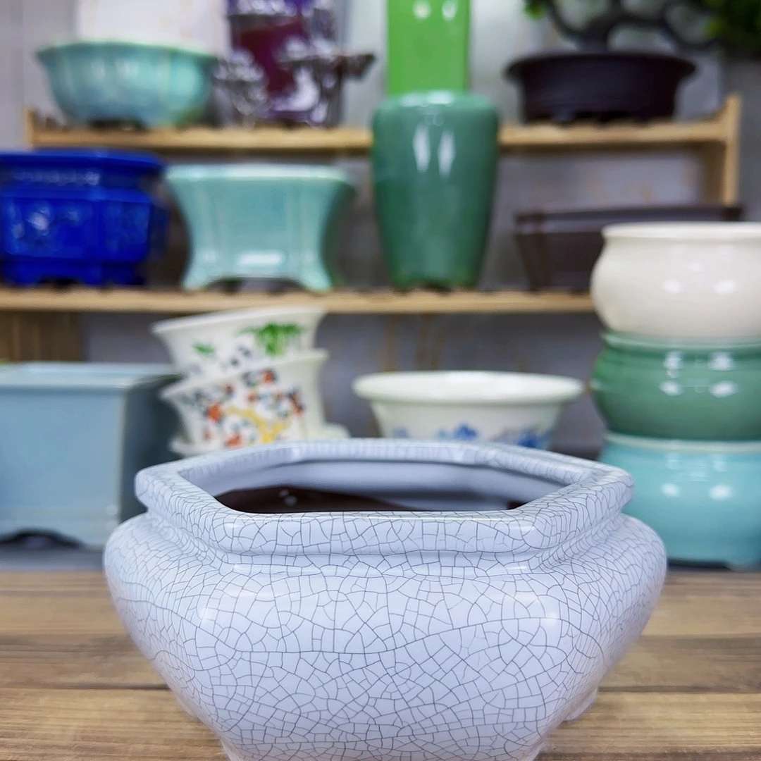 陶瓷花盆特价上新