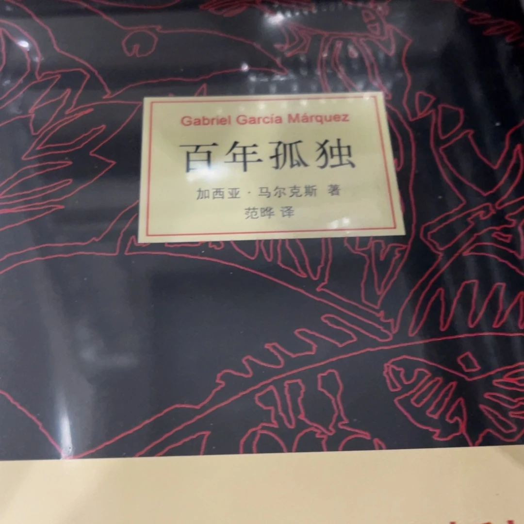 百年孤独精装一个