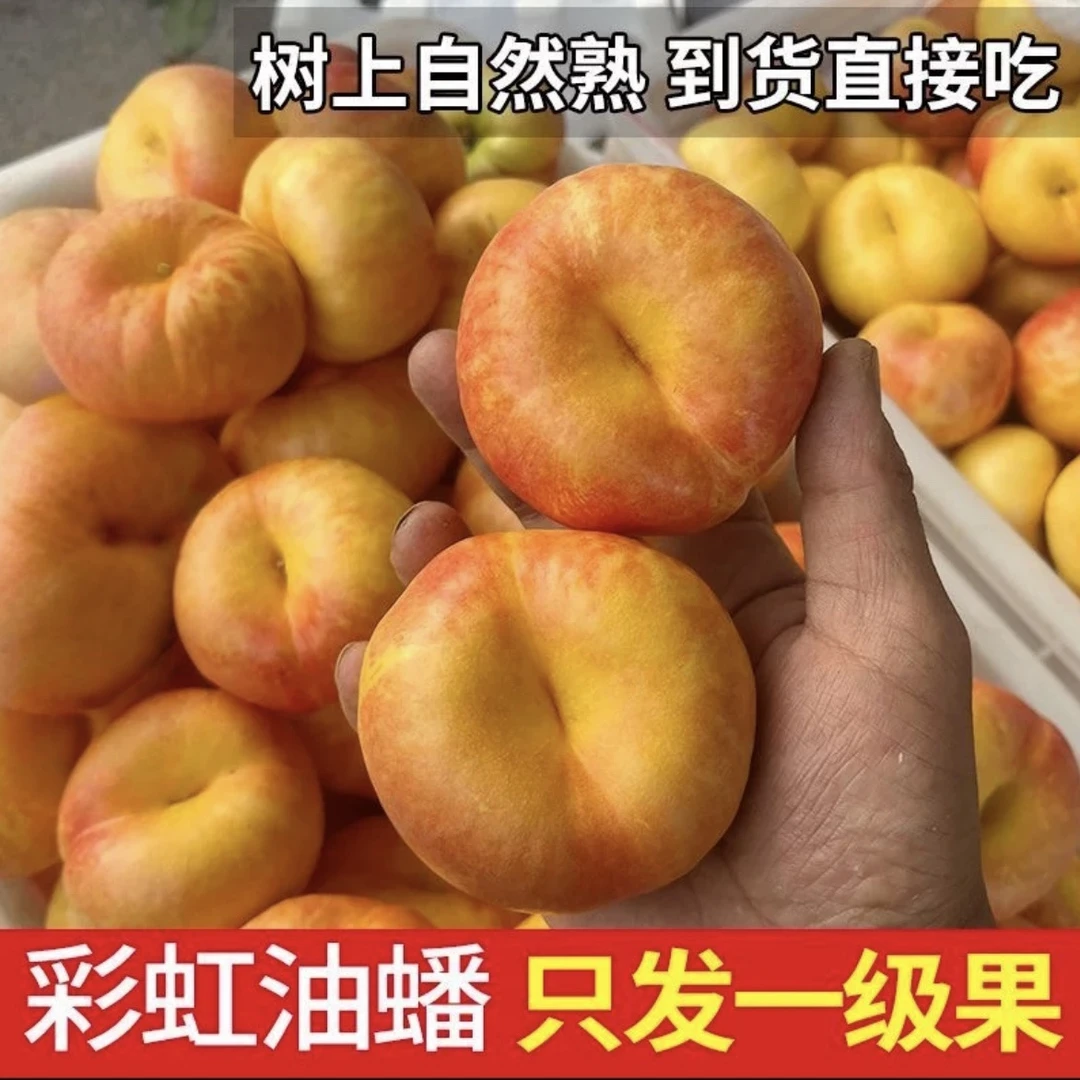 山东蒙阴彩虹油蟠桃新鲜油桃软硬两吃果皮薄甜嫩多汁纯甜无酸桃子