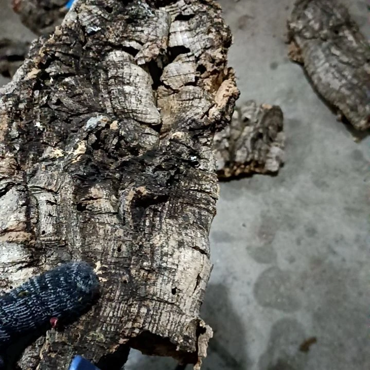 一物一拍一物一发