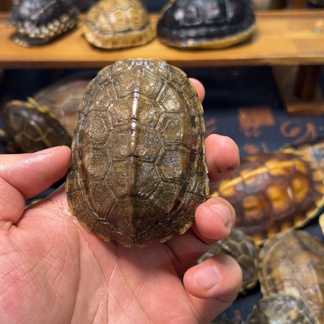 他吞吞吐吐他吞吞吐吐