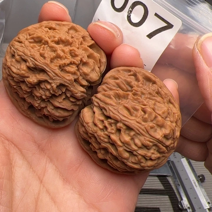 核桃全品南疆石007号43尺