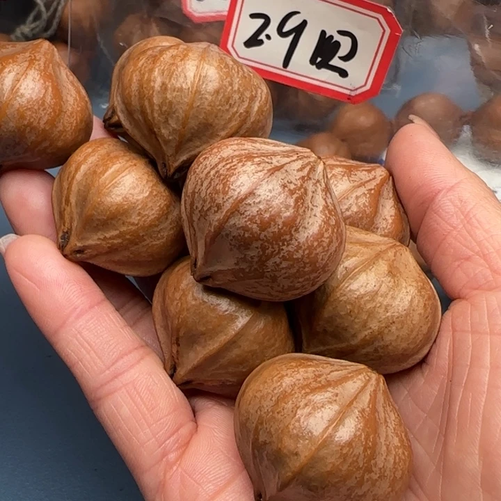 知***乐手串橄榄核橄榄核