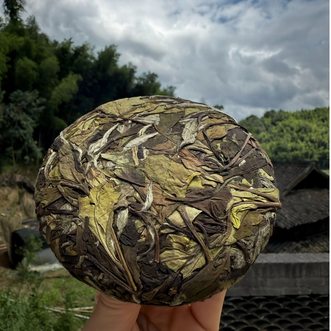 2025年寿眉茶100克福鼎磻溪白茶