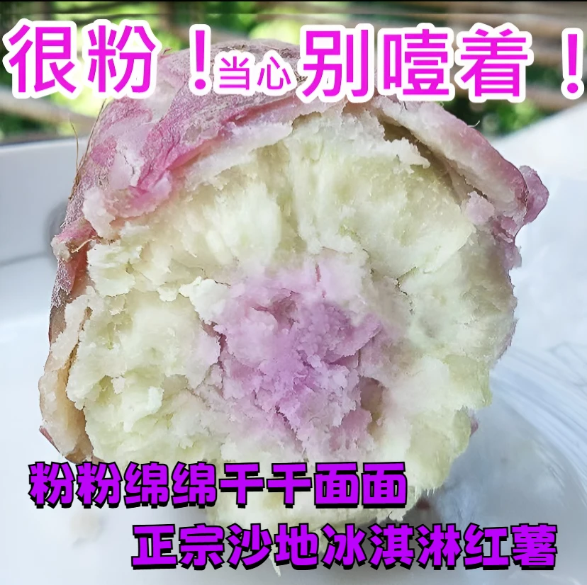 广东沙地新鲜现挖冰淇淋红薯一点红番薯粉糯香甜