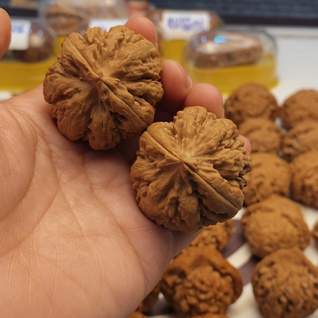 文玩核桃吊坠霸王龙39尺