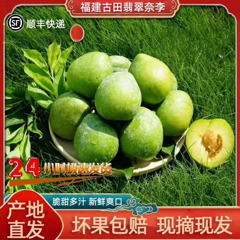 【顺丰快递】福建古田油奈李 果园产地奈李青奈李 蜂糖李纯甜无酸