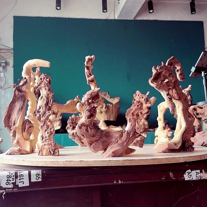 小***草木945 金丝红木羊蹄甲半成品到手10件