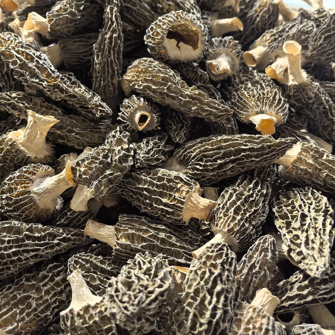 长白山 林下羊肚菌 肉厚共250克