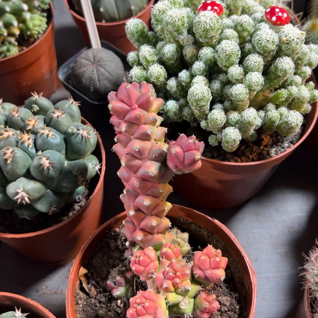 我***你哈哈哈哈哈哈哈哈哈哈