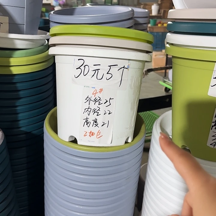 白色4号口径25个口径高21无托8个