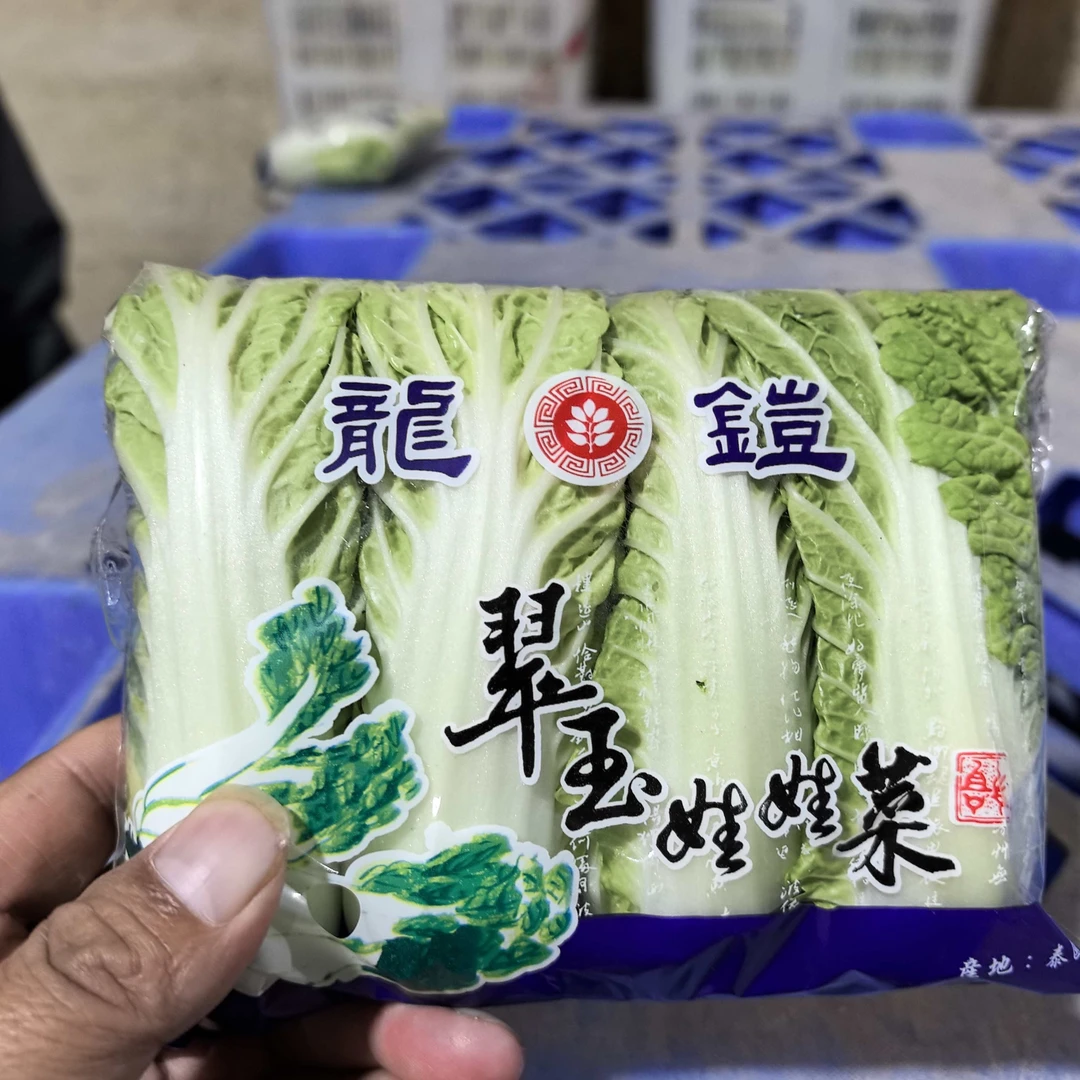 青藏日记【娃娃菜心】高品质高原种植嫩脆甜菜味浓郁