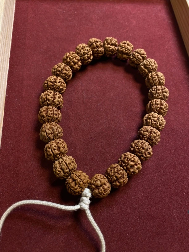 2025新籽金刚菩提鳄鱼梅花小金刚手串手持