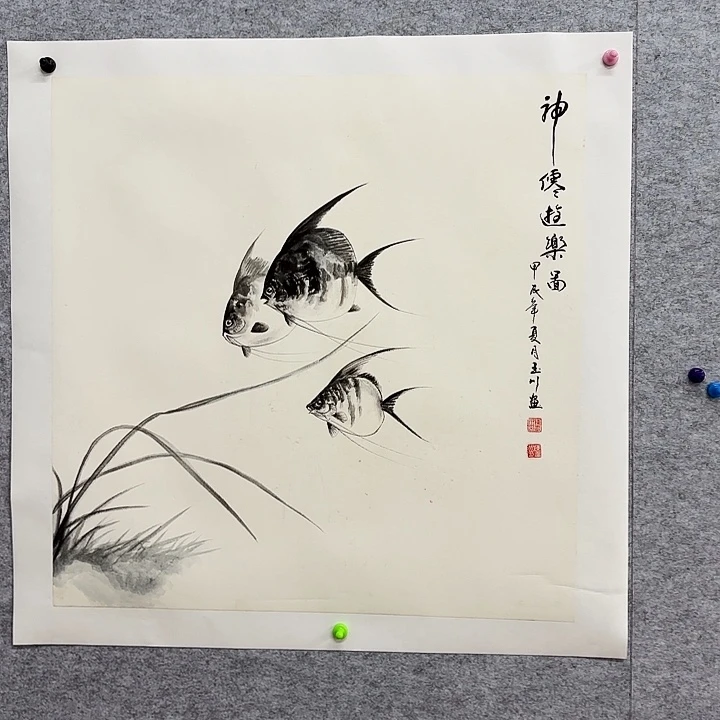 国画花鸟等多种鸟类的分布
