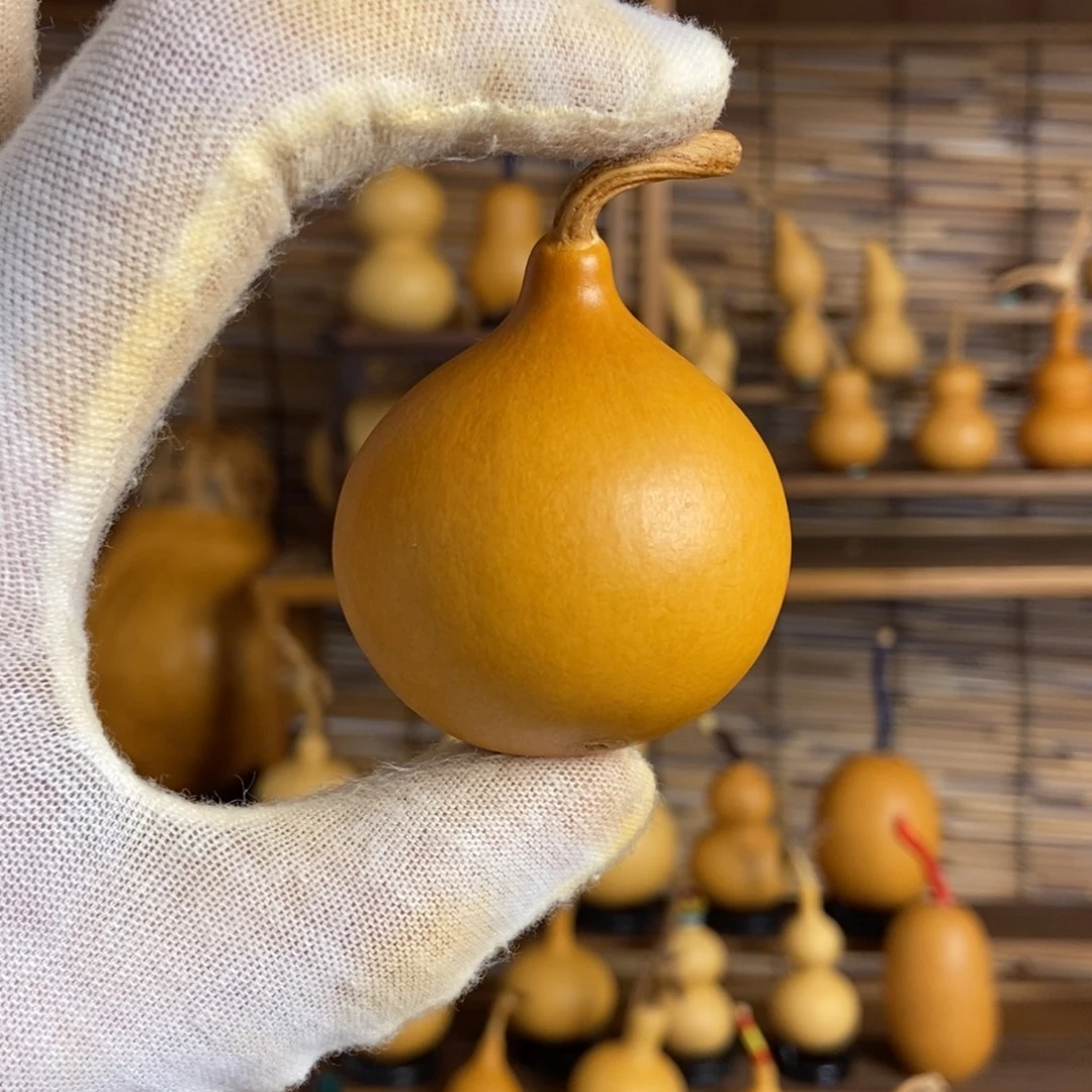 llllllllllll一物一拍008