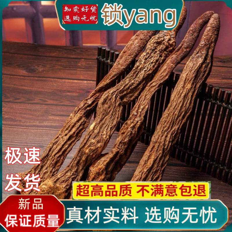 内蒙野生特级精选金锁根整根切片能泡酒煲粥的优质干货乌梅干