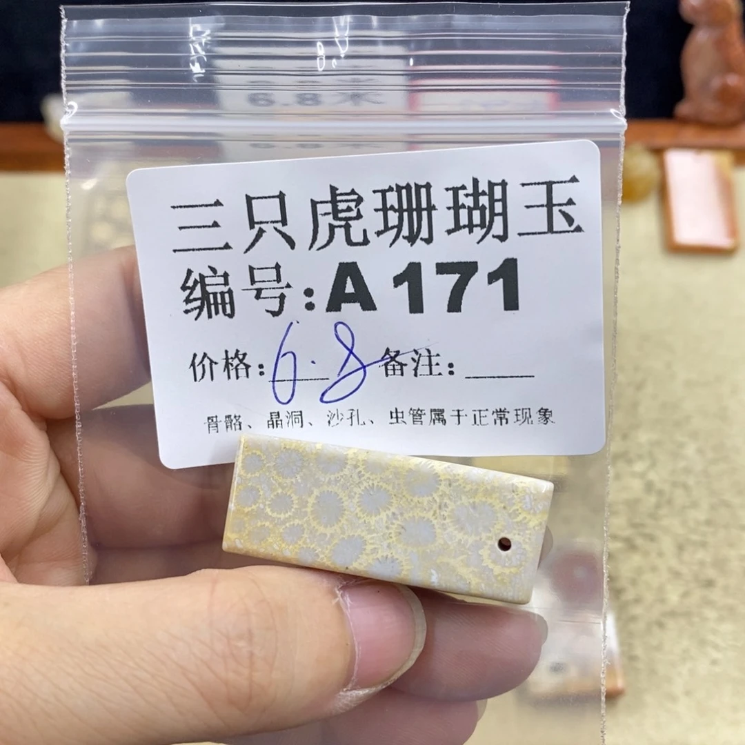 硅化珊瑚（珊瑚玉）1未镶嵌