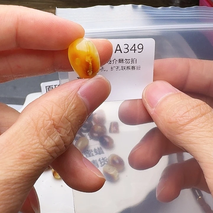 裸石琥珀未镶嵌琥珀