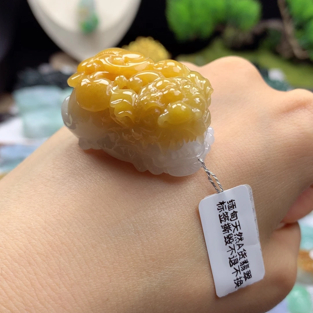 翡翠未镶嵌颈饰16