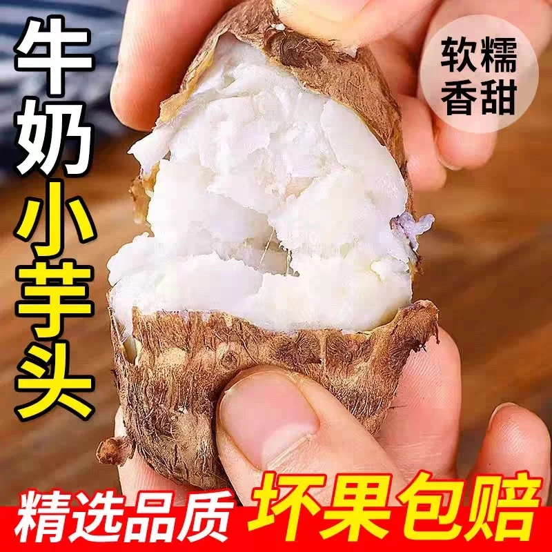 正宗牛奶小芋头软糯毛芋头芋艿芋仔应季小香芋毛芋头包邮1-9斤