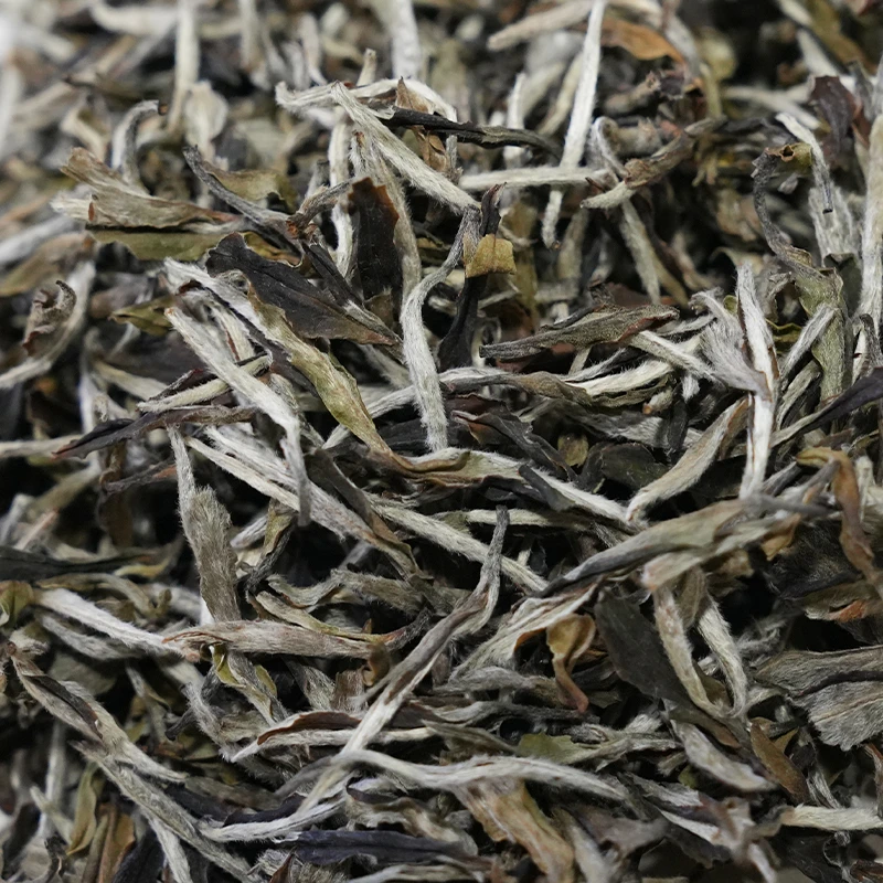 2022磻溪雪后牡丹王 君君茶叶 福鼎白茶散茶
