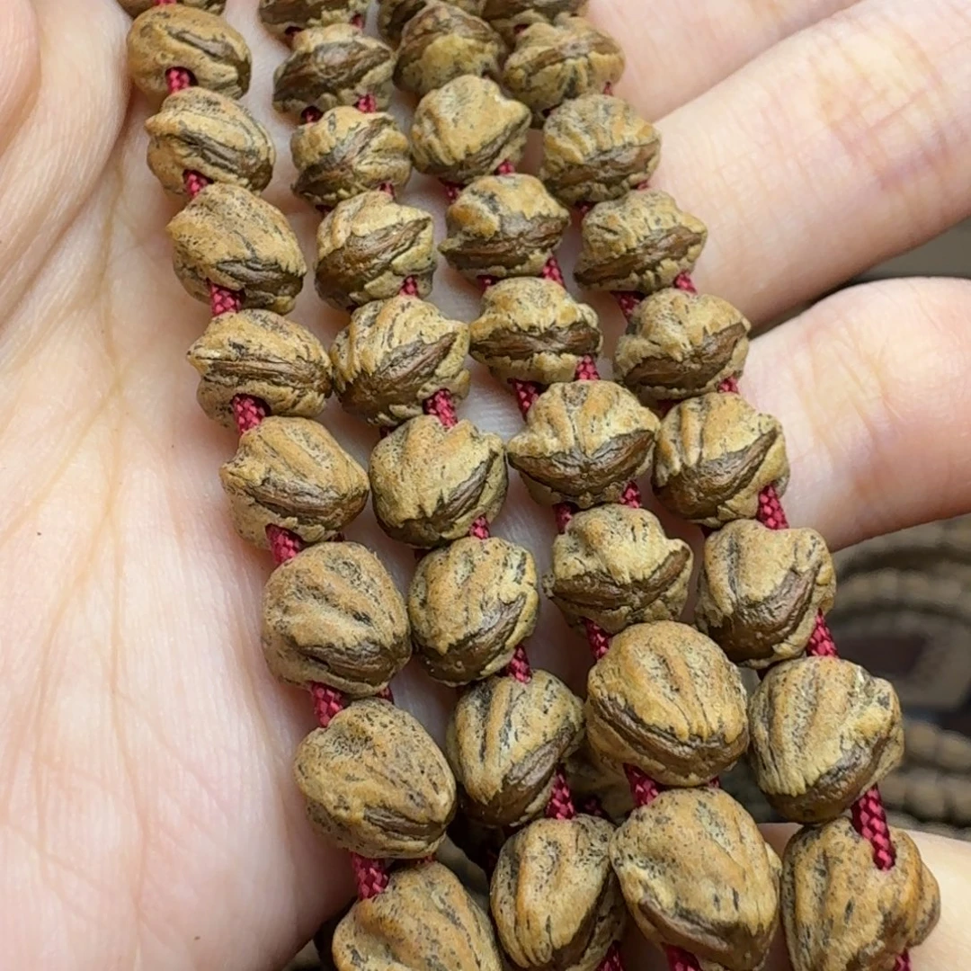 柏香籽/百香籽手串热振红芽蛇骨