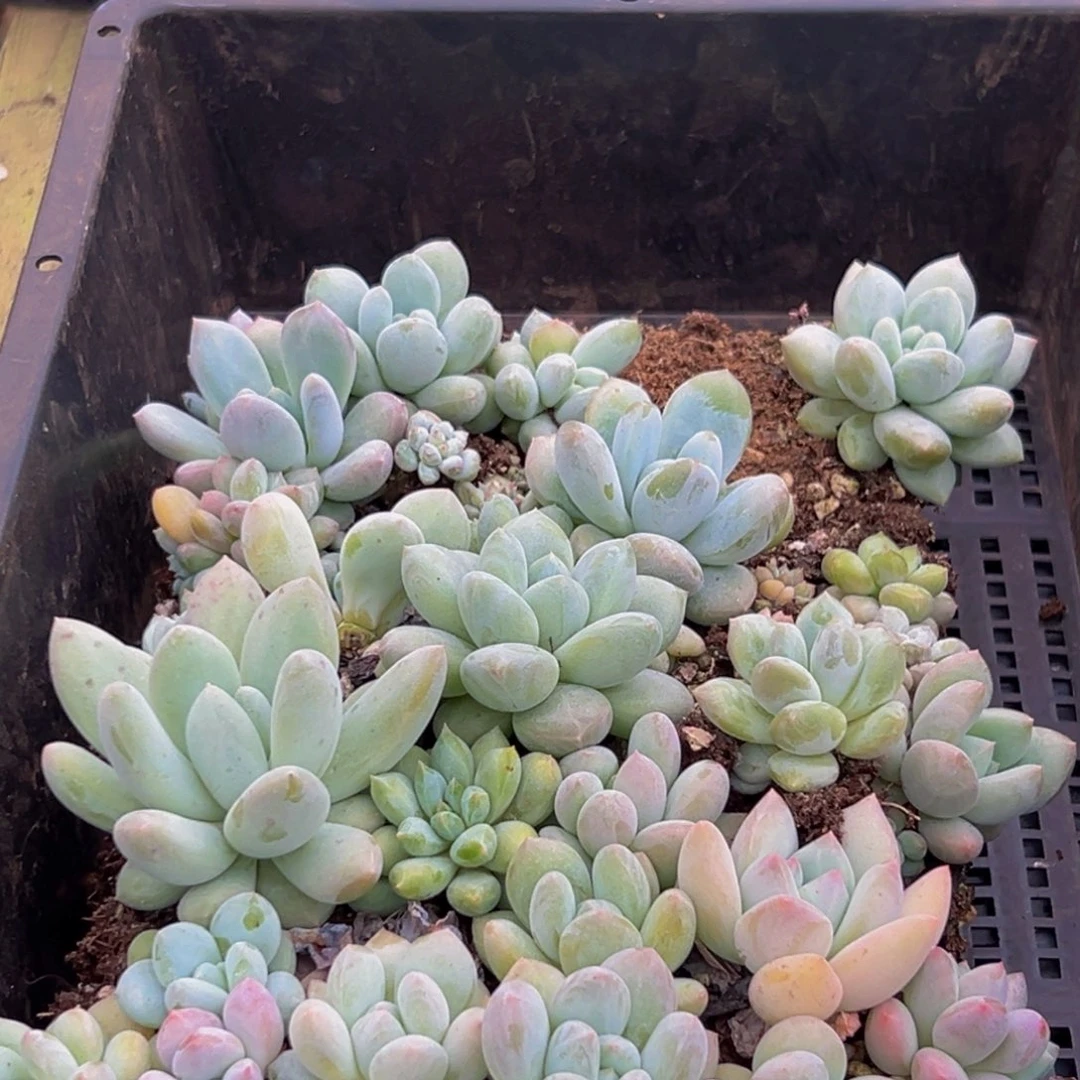 156的人了还在看电视吗我