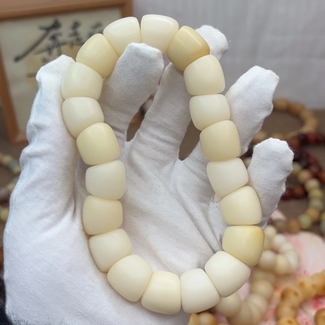 吊坠菩提根/象牙果16干磨瑕疵落地果肠508