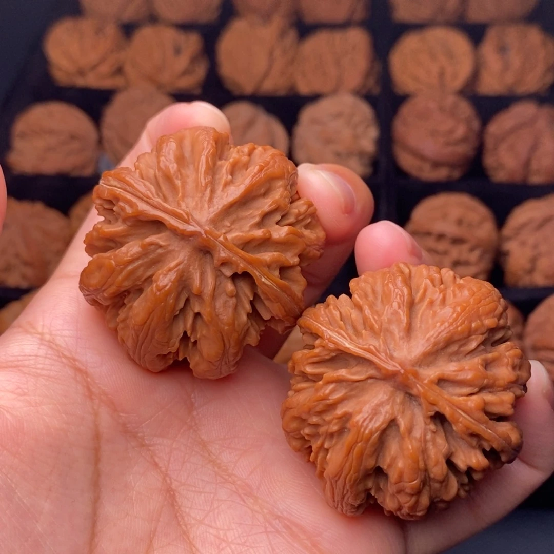 秦岭野生文玩核桃