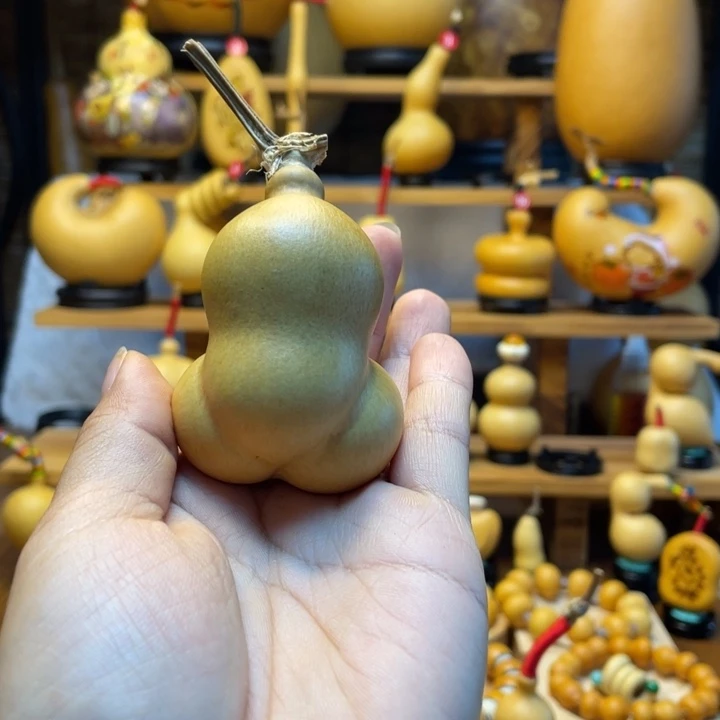 贝***壳天然葫芦自然生长