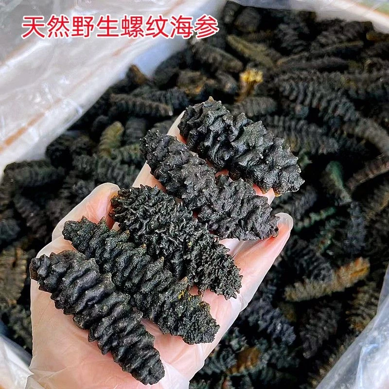带刺螺纹海参刺参龙纹海参 煲汤煲粥滋补天然野生阳江海产品干货