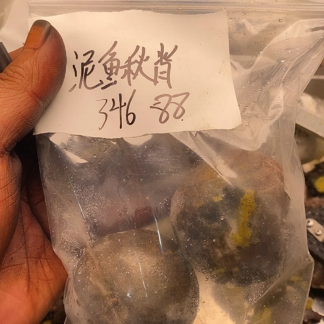 ****6哥哥和v就帮帮你吧哈哈哈