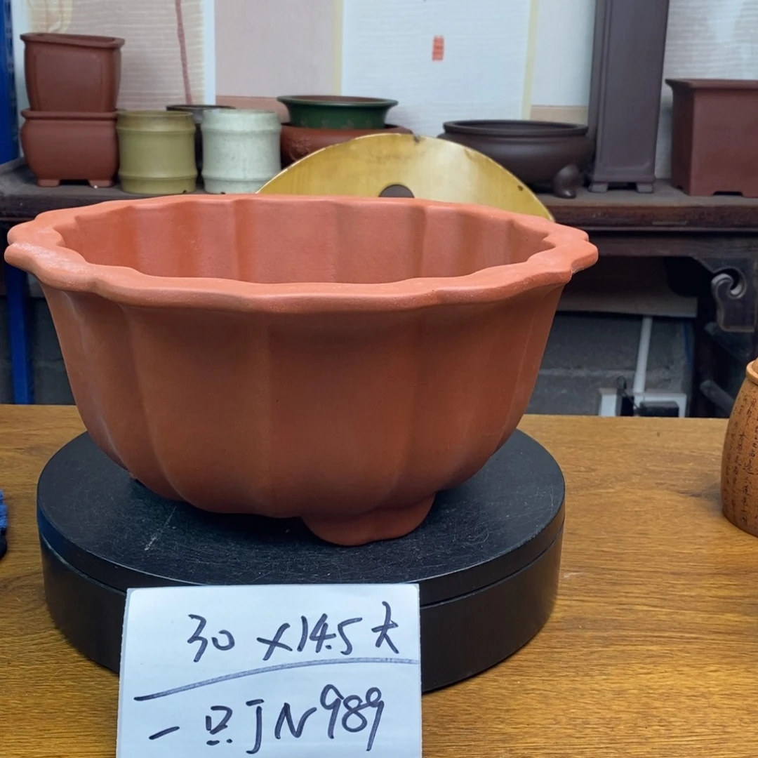 紫砂JN989 货号一只