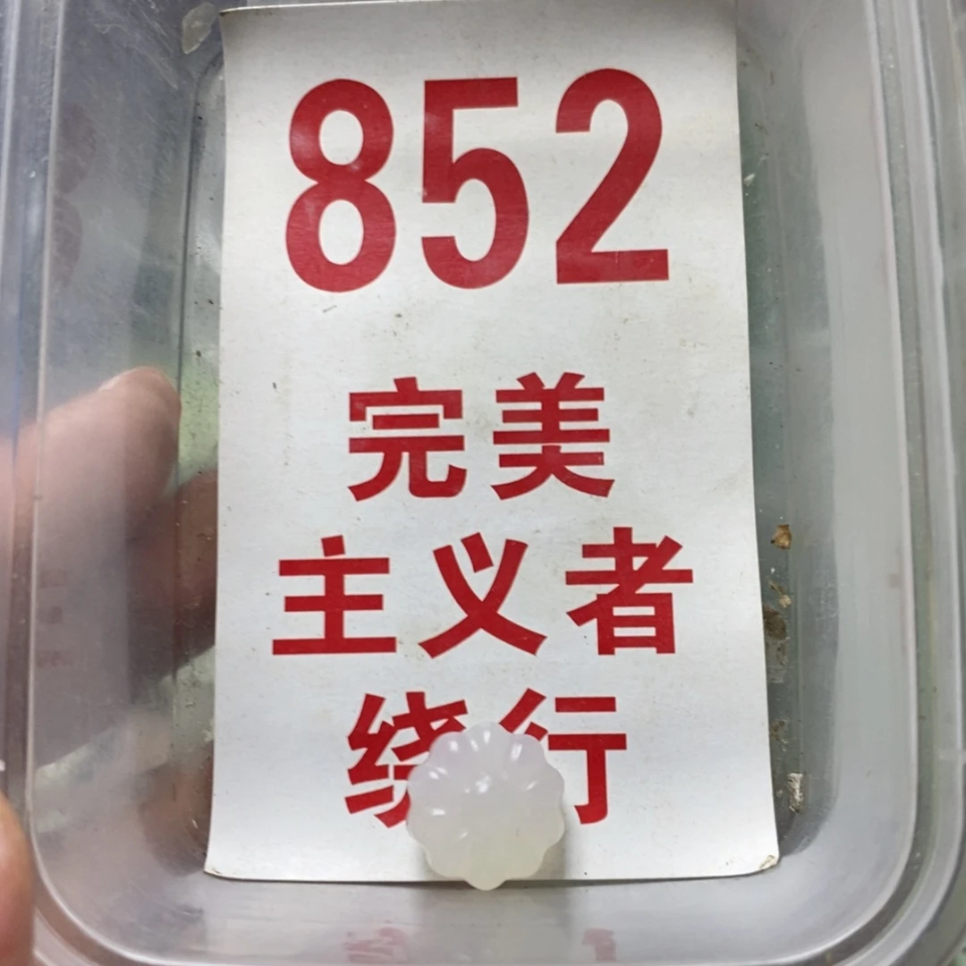 蛇纹石玉未镶嵌挂坠