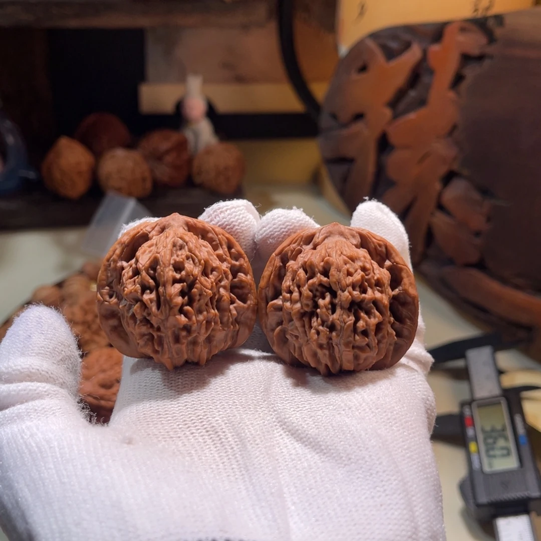 把件文玩核桃40楼子陈果全品