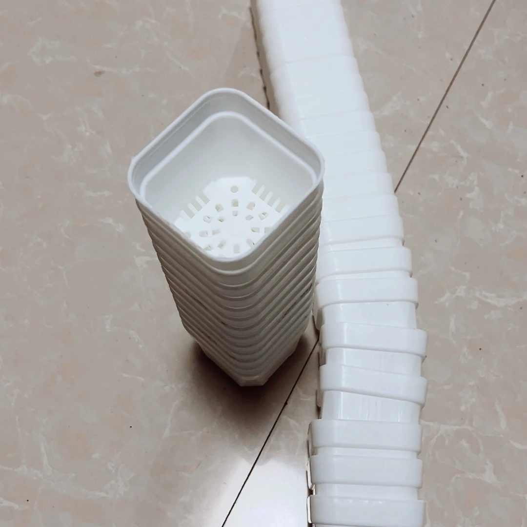 中厚口5高5白方盆50个无托
