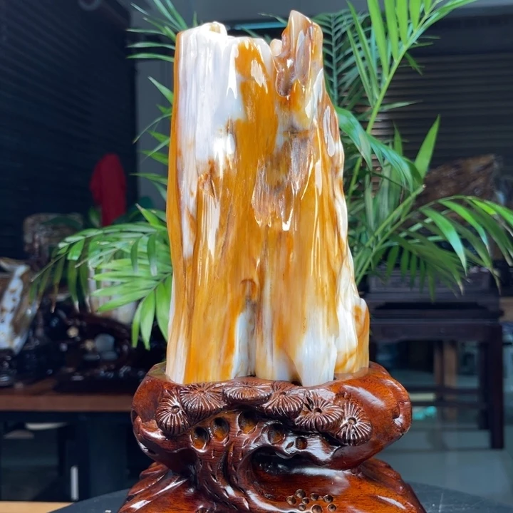 硅化玉（树化玉）未镶嵌摆件