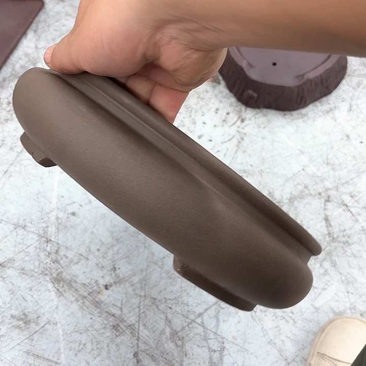 紫砂花盆紫砂的花开得很