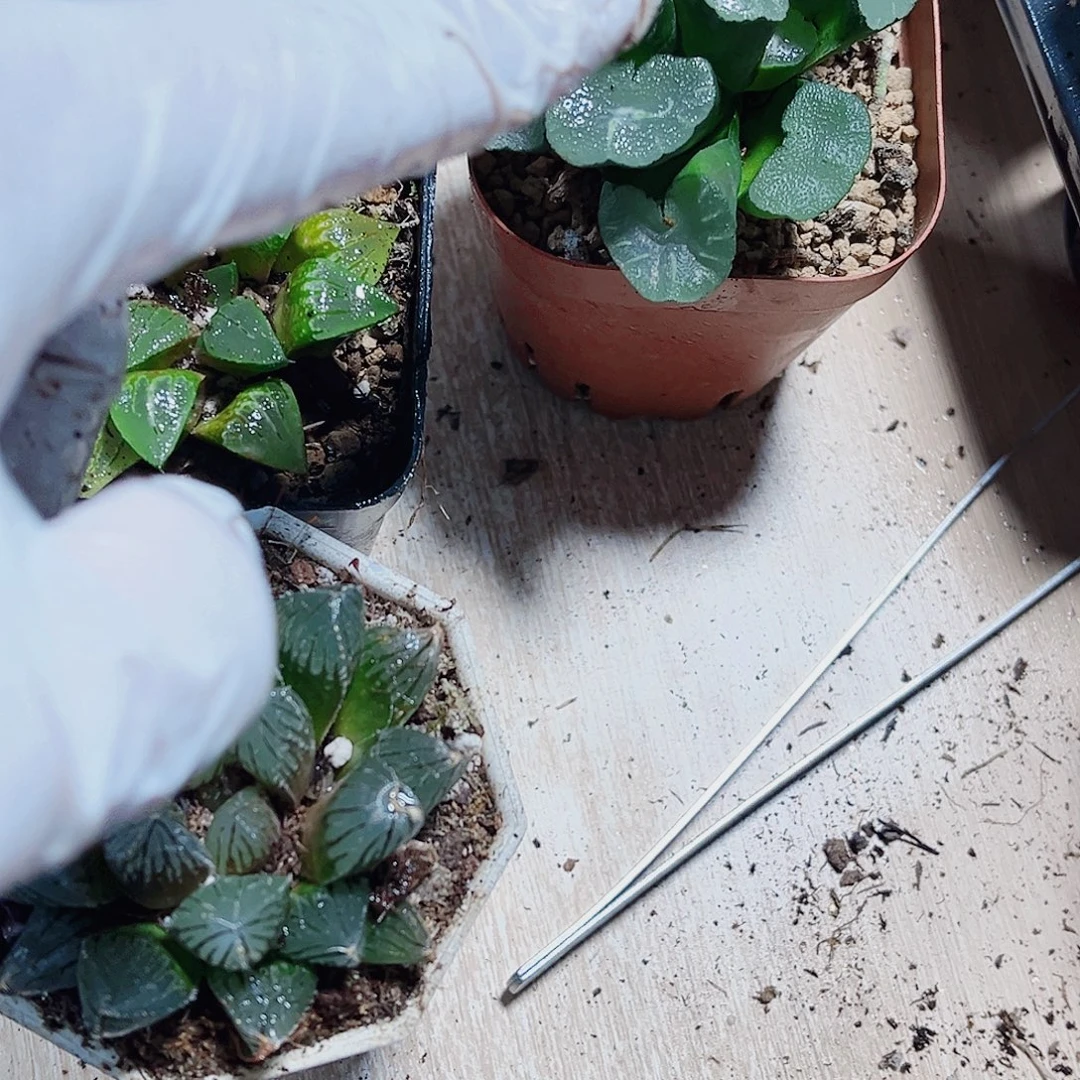 特价处理不包售后