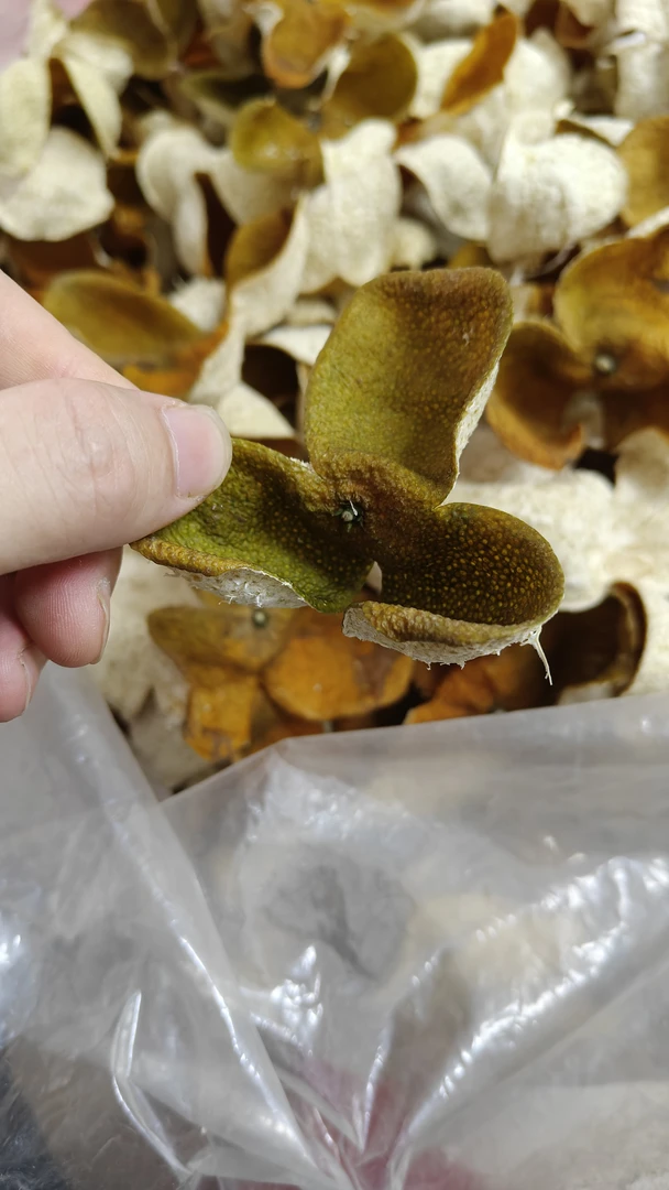 特价活动2024年二红油皮仔薄皮二线产霸气香气