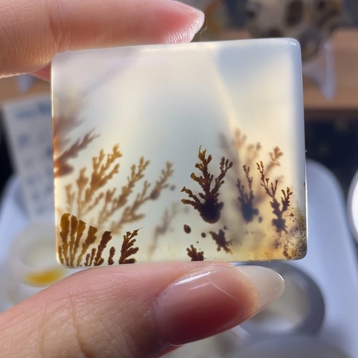 玛瑙/玉髓未镶嵌牌子