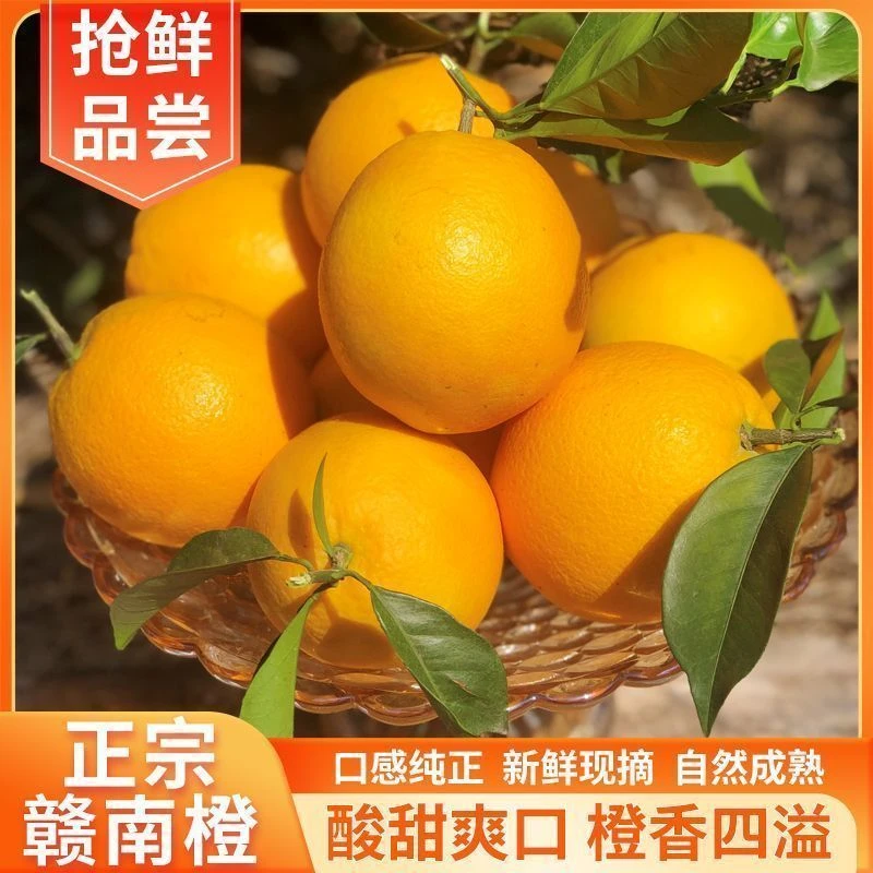 【专属福利】正宗赣南脐橙皮薄多汁新鲜采摘橙香浓郁