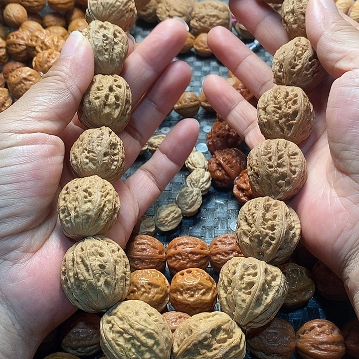 手串文玩核桃粗筋