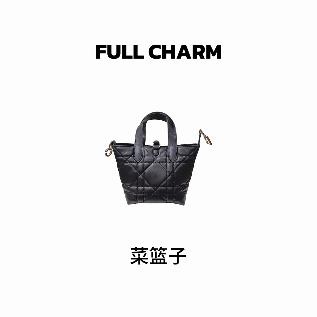 A047 新款百搭女包