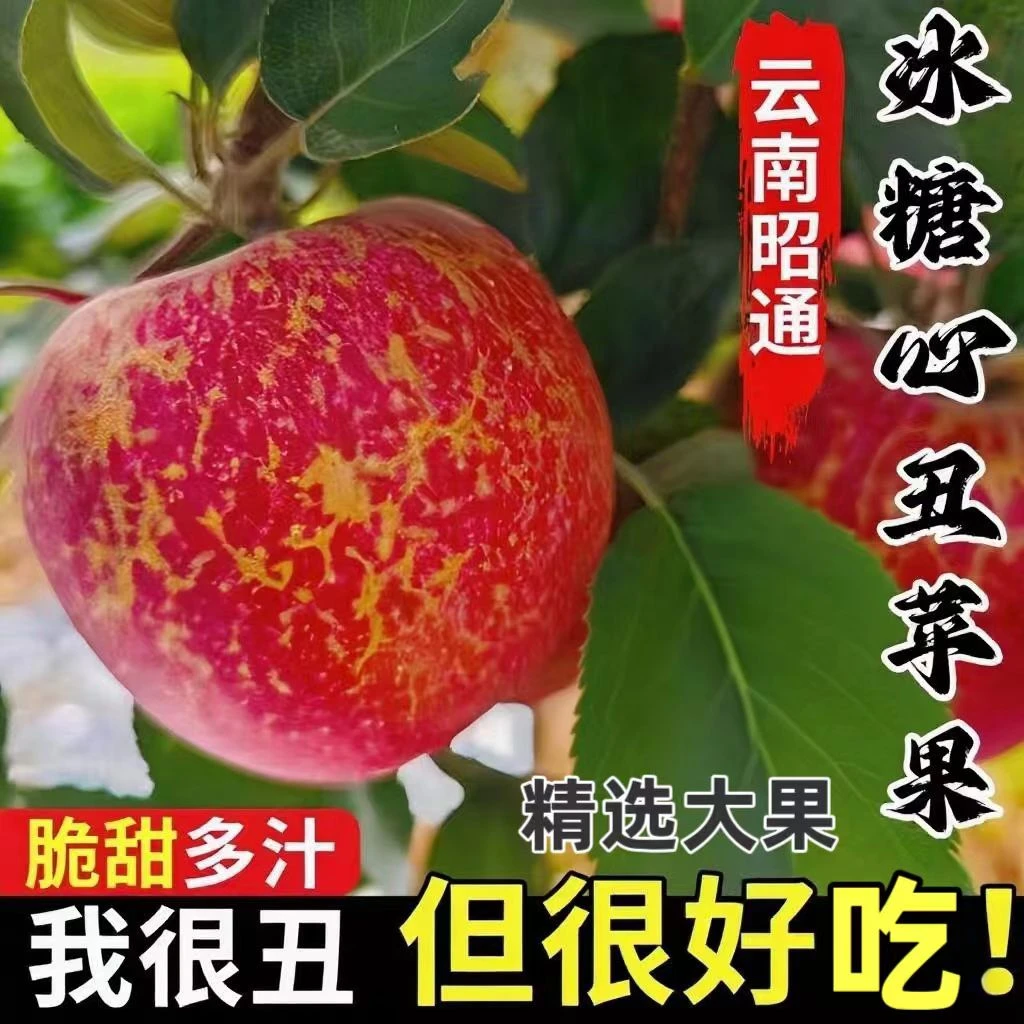 【吹粉专属】云南昭通201丑苹果富士新鲜脆甜多汁产地直发应季水果