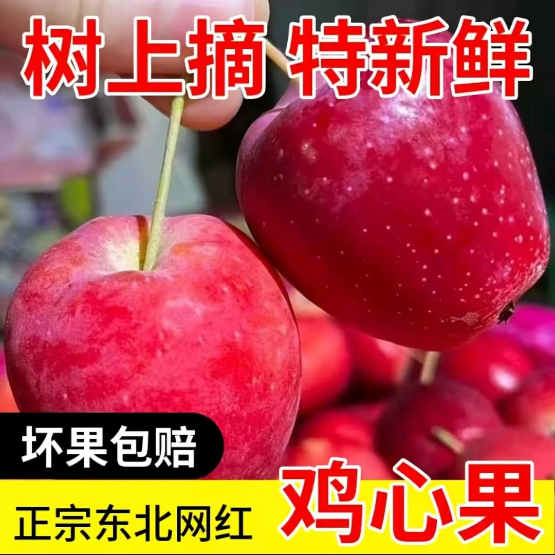 正宗东北鸡心果网红果现摘现发