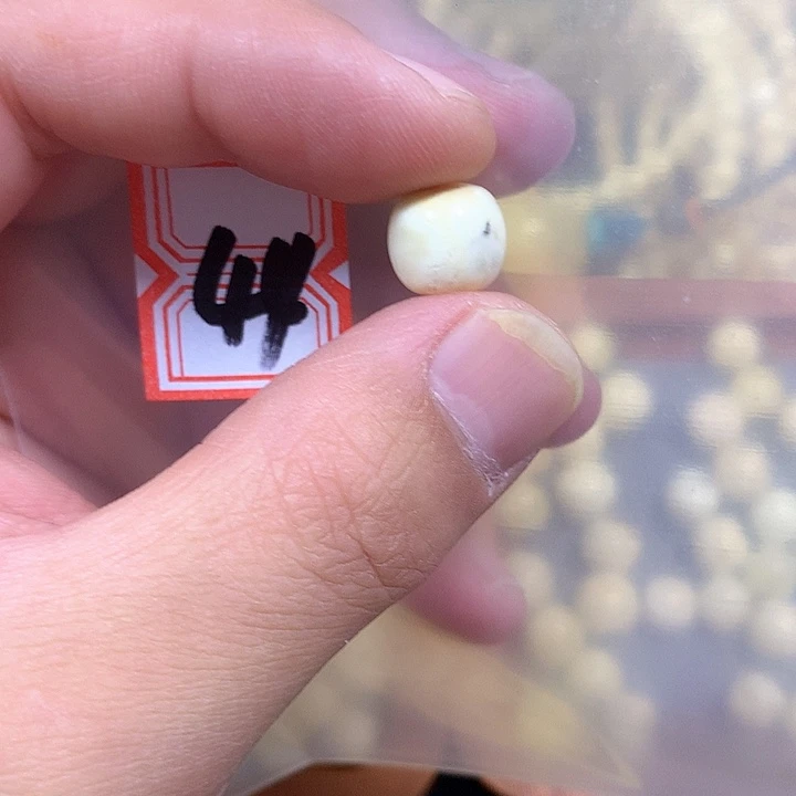 裸石琥珀未镶嵌11