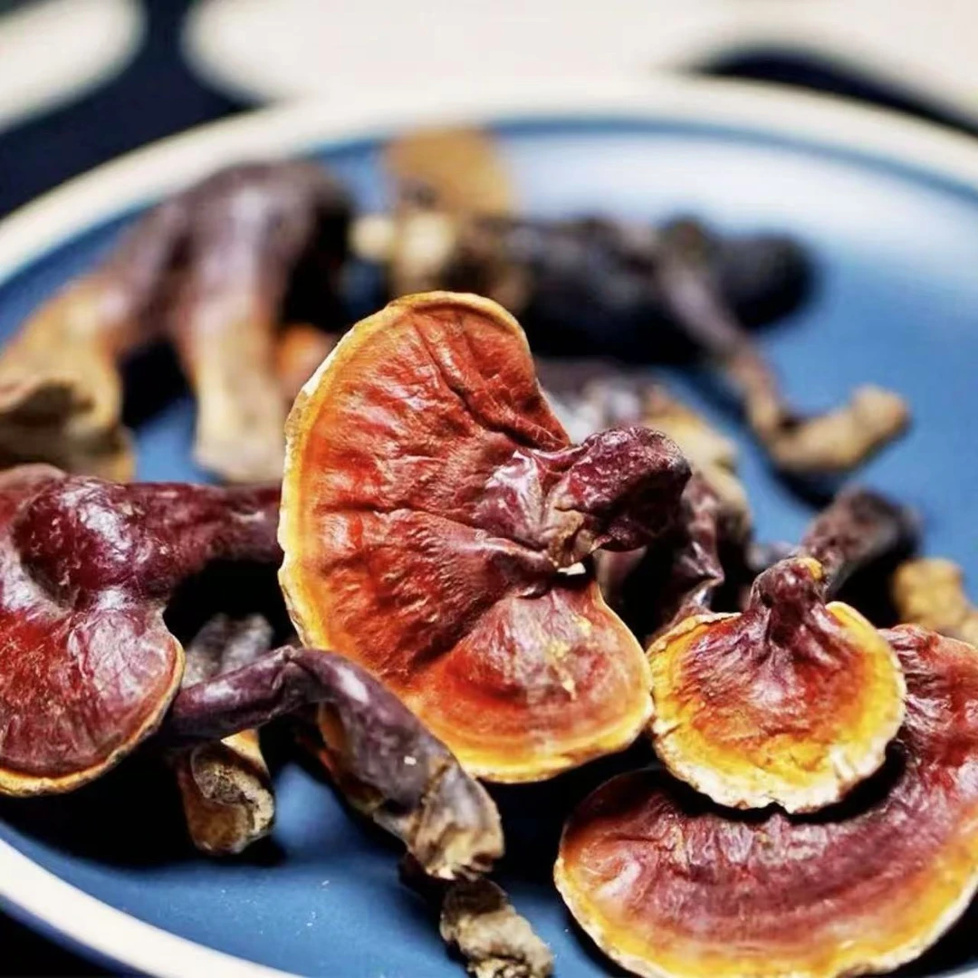 【郑书记助农】野生灵芝木灵芝深山采摘天然