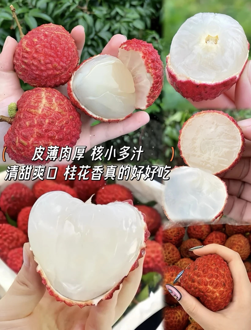 海南火山岩品种达人推荐报恩荔枝顺丰冷链特大空运包邮坏果包赔