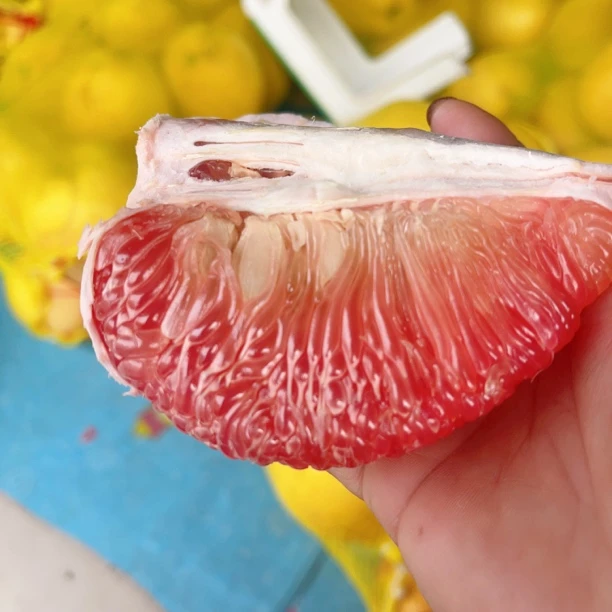 广丰当季新鲜采摘马家柚